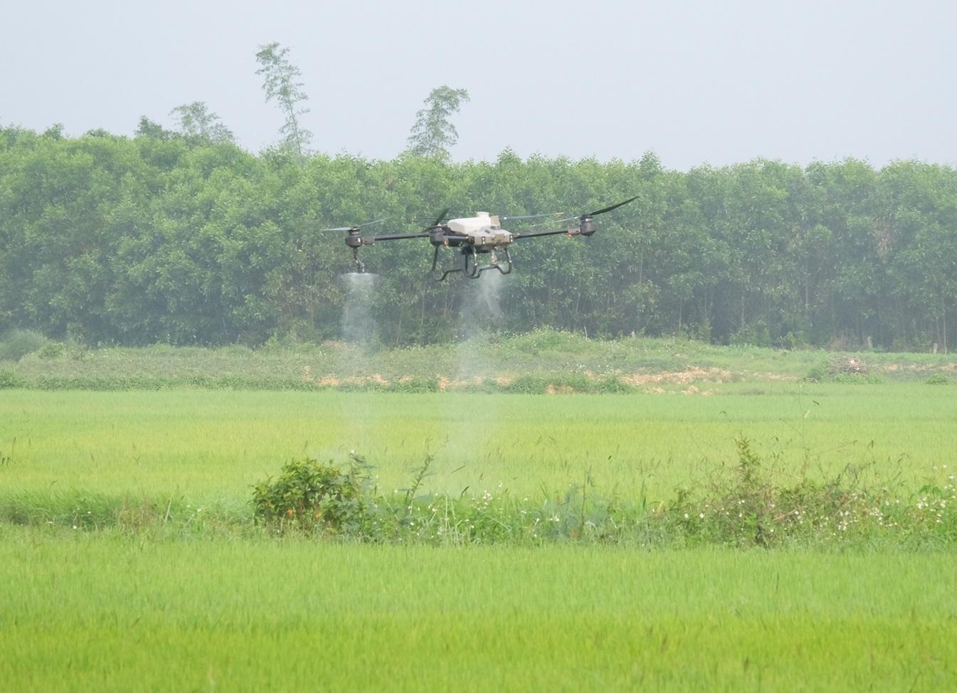 Ứng dụng drone phun thuốc phòng trừ sâu bệnh trên lúa