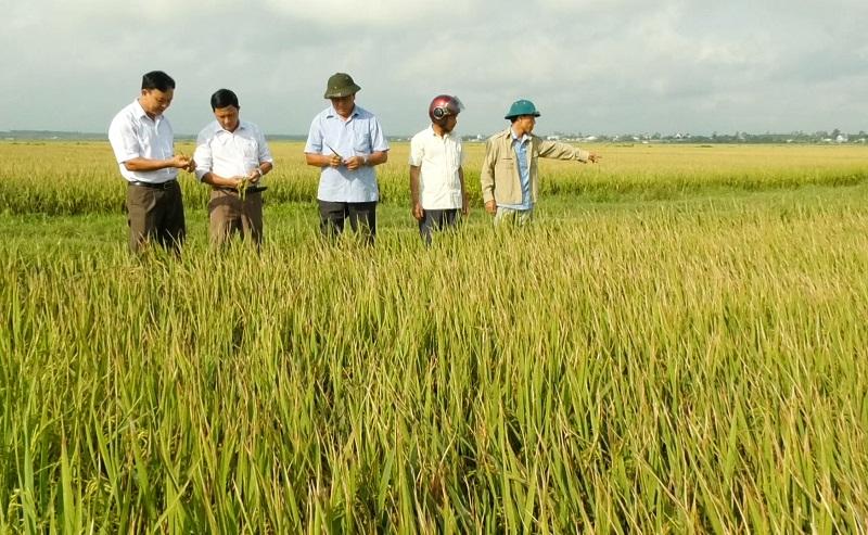 Vĩnh Thủy hỗ trợ đến 50 triệu đồng cho mỗi mô hình sản xuất hữu cơ