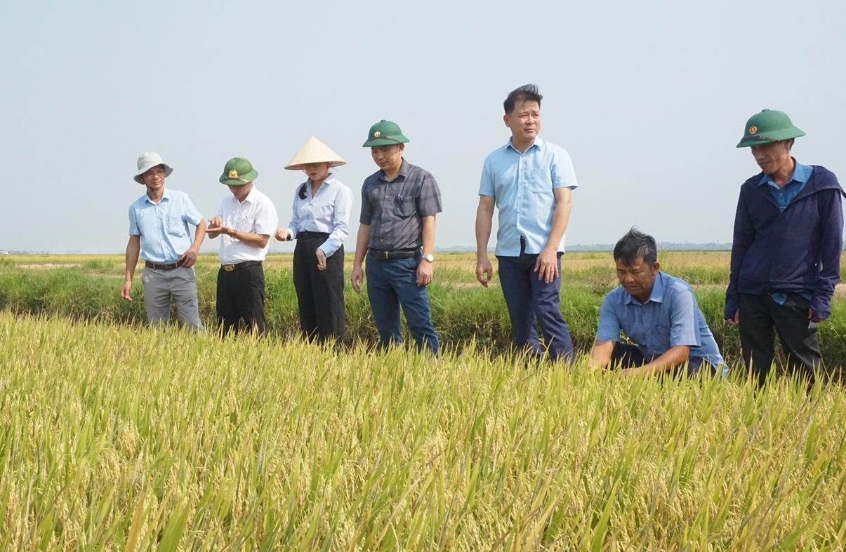 Vĩnh Thủy hoàn thành nhiều chỉ tiêu 9 tháng, gỡ vướng đất đai và giải ngân đầu tư công cuối năm