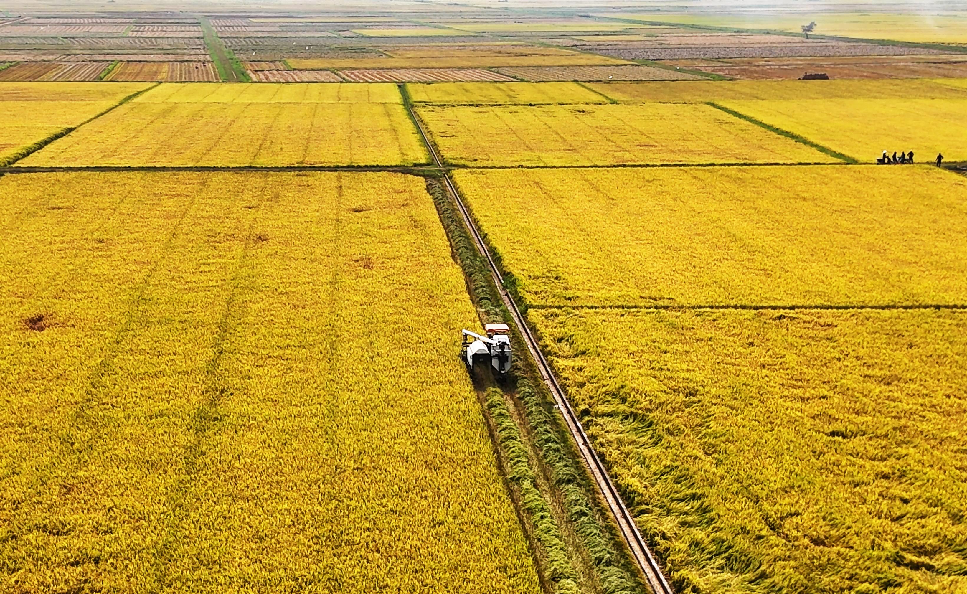 Kết quả lãnh đạo toàn diện của Đảng bộ xã Vĩnh Thủy trong 6 tháng đầu năm