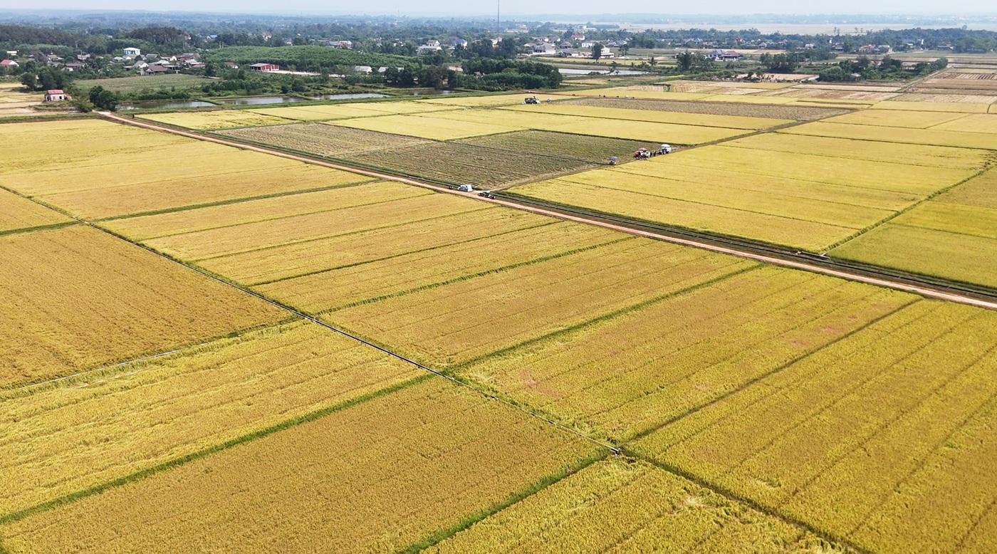 Đảng bộ xã Vĩnh Thủy cụ thể hóa Nghị quyết Đại hội XIV của Đảng