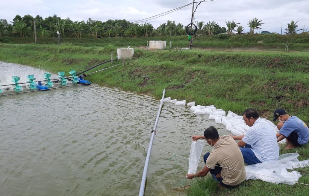 Vĩnh Thủy tăng cường quản lý kê khai, con giống và dịch bệnh trong nuôi trồng thủy sản