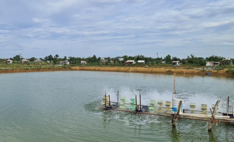 Vĩnh Thuỷ ban hành lịch mùa vụ nuôi trồng thủy sản năm 2026