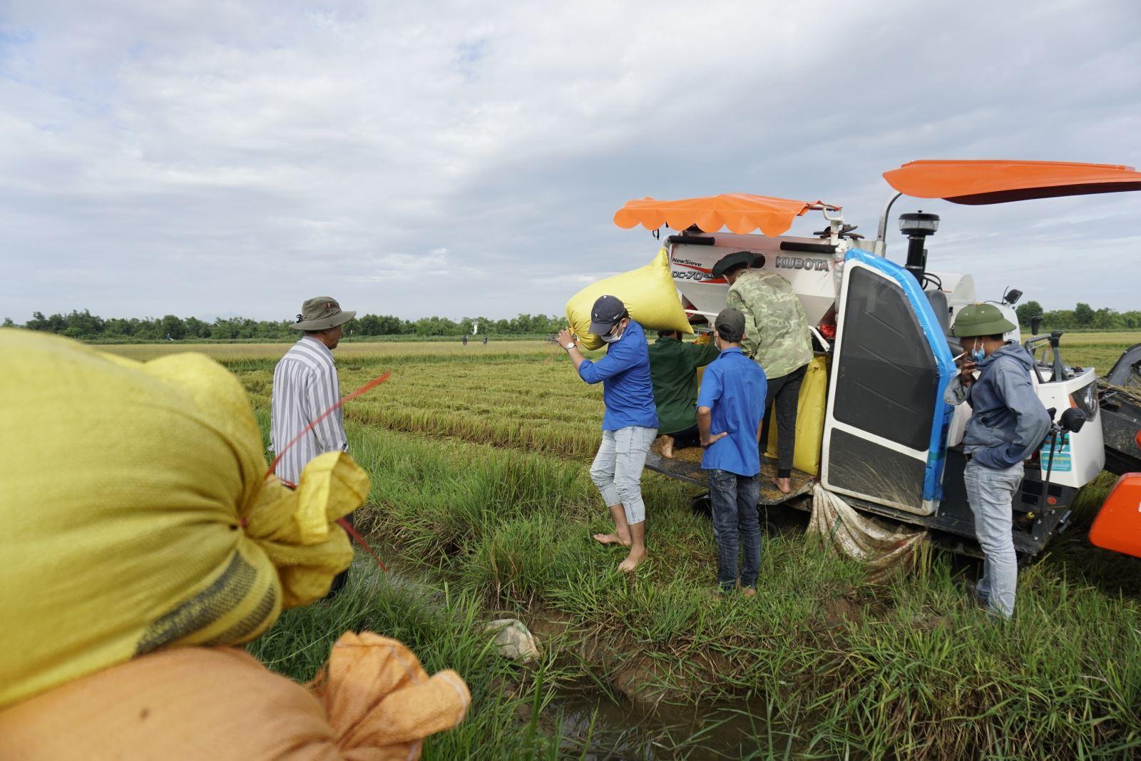 Đảng ủy xã Vĩnh Thủy ban hành kế hoạch thực hiện Nghị quyết số 79-NQ/TW về phát triển kinh tế nhà...