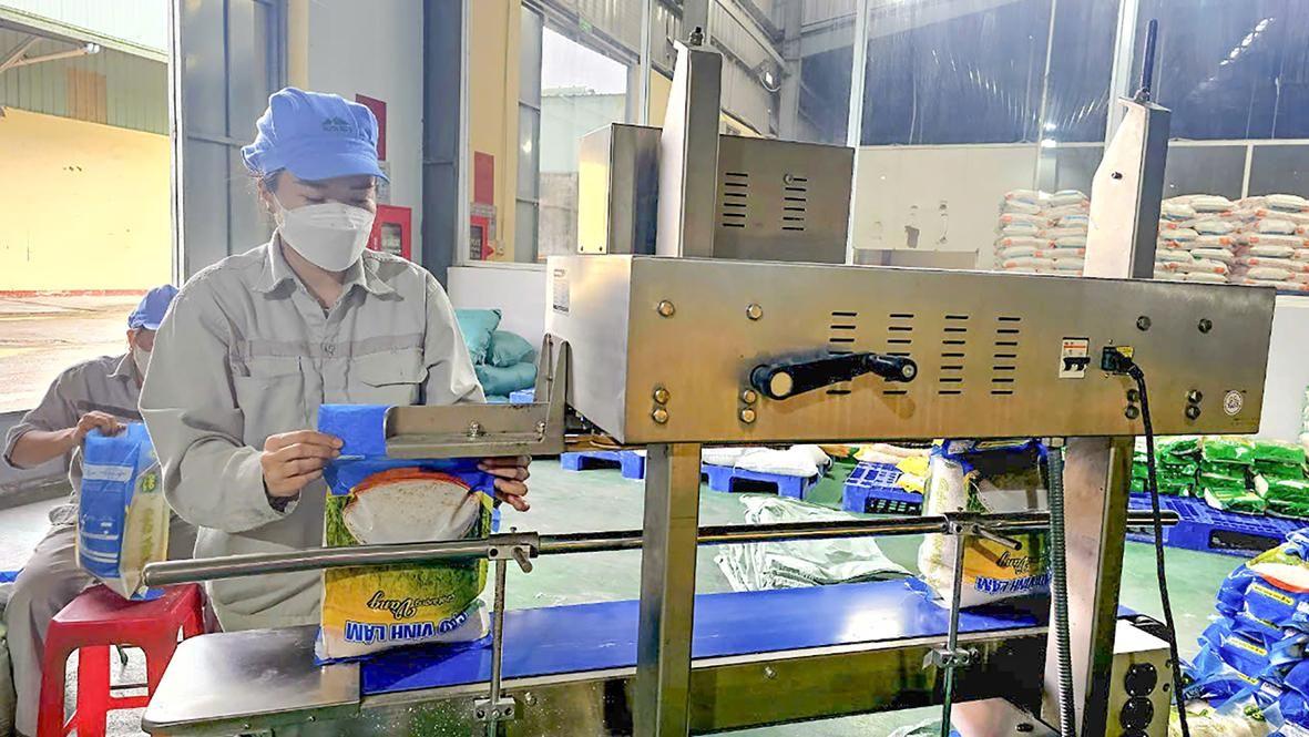 Đòn bẩy OCOP trong chiến lược phát triển kinh tế nông thôn bền vững tại Vĩnh Thủy