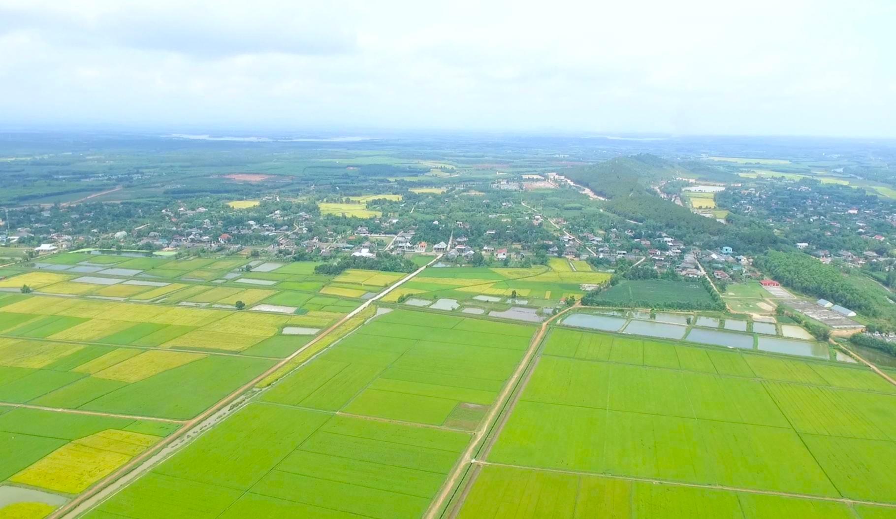 Kỳ vọng mùa vàng bội thu