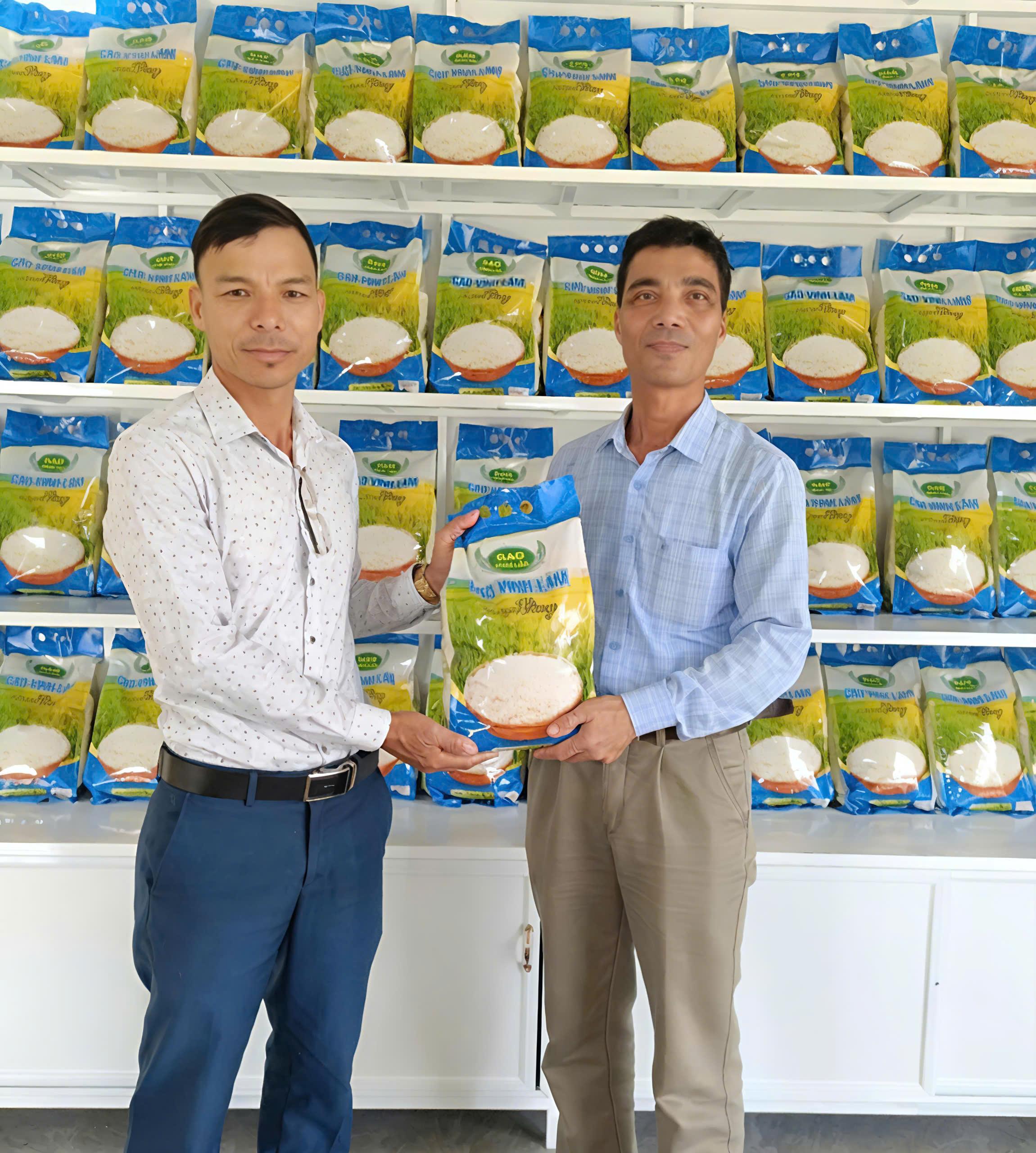 Sản phẩm OCOP: Gạo Vĩnh Lâm – chất lượng vàng, niềm tự hào quê hương Vĩnh Thủy