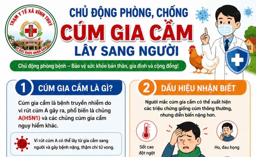 Chủ động phòng, chống bệnh cúm gia cầm lây sang người
